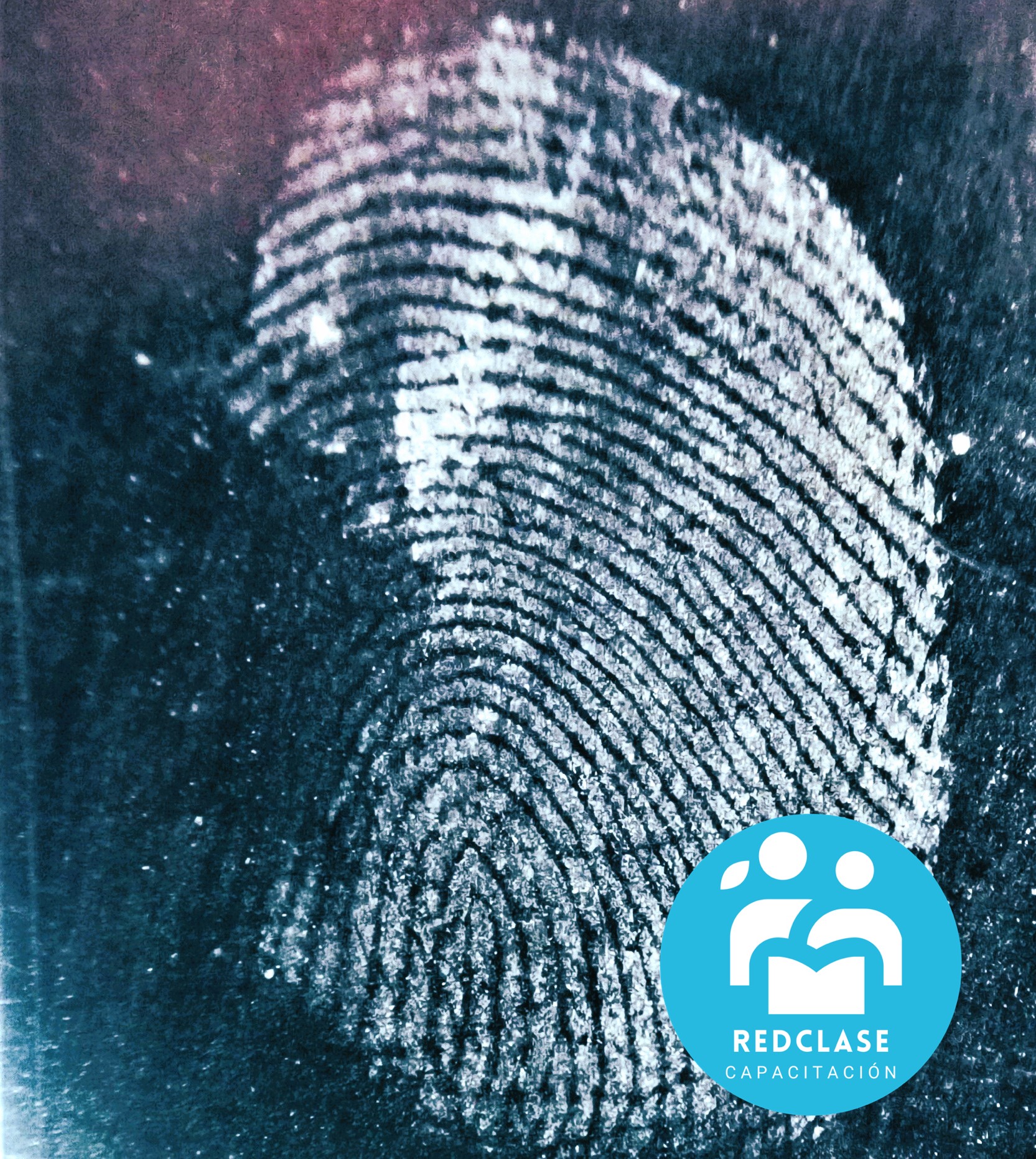 VERIFICACIÓN DE HUELLAS DIGITALES